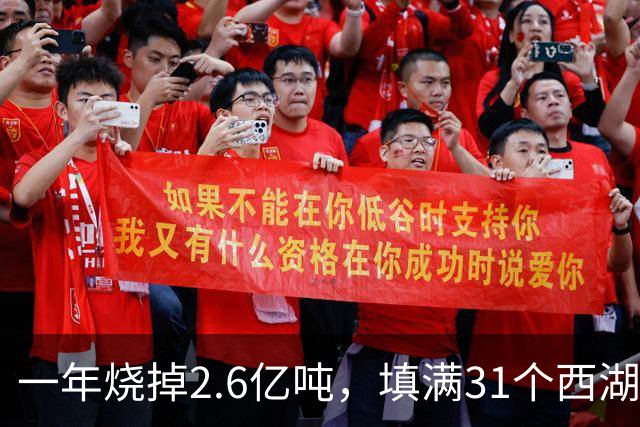 一年烧掉2.6亿吨，填满31个西湖！中国的垃圾，不够烧了？