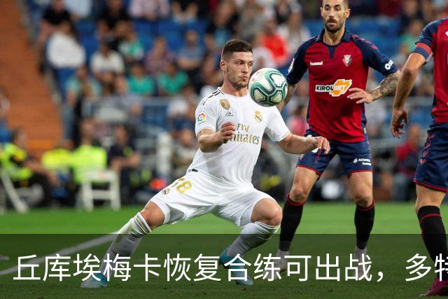 丘库埃梅卡恢复合练可出战，多特门将迈尔因病存疑